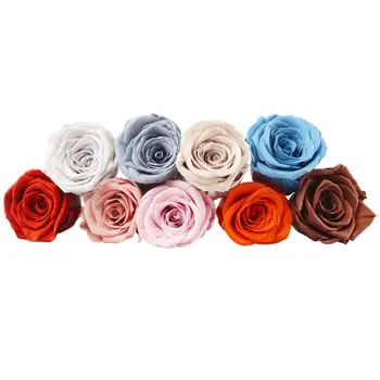 Party kellékek Vibráló örök rózsavirágok Kézzel készített, természetes megjelenésű dísz Megőrzött virágrózsa a tartós szépségért Rózsa